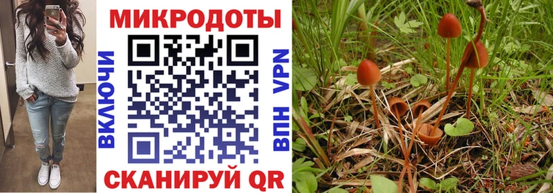 где можно купить наркотик  blacksprut ССЫЛКА  Галлюциногенные грибы Magic Shrooms  Киселёвск 