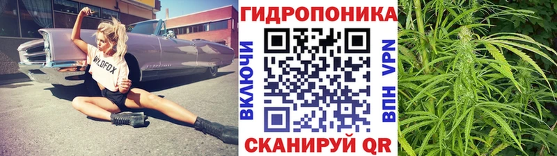 Бошки Шишки марихуана  Киселёвск 